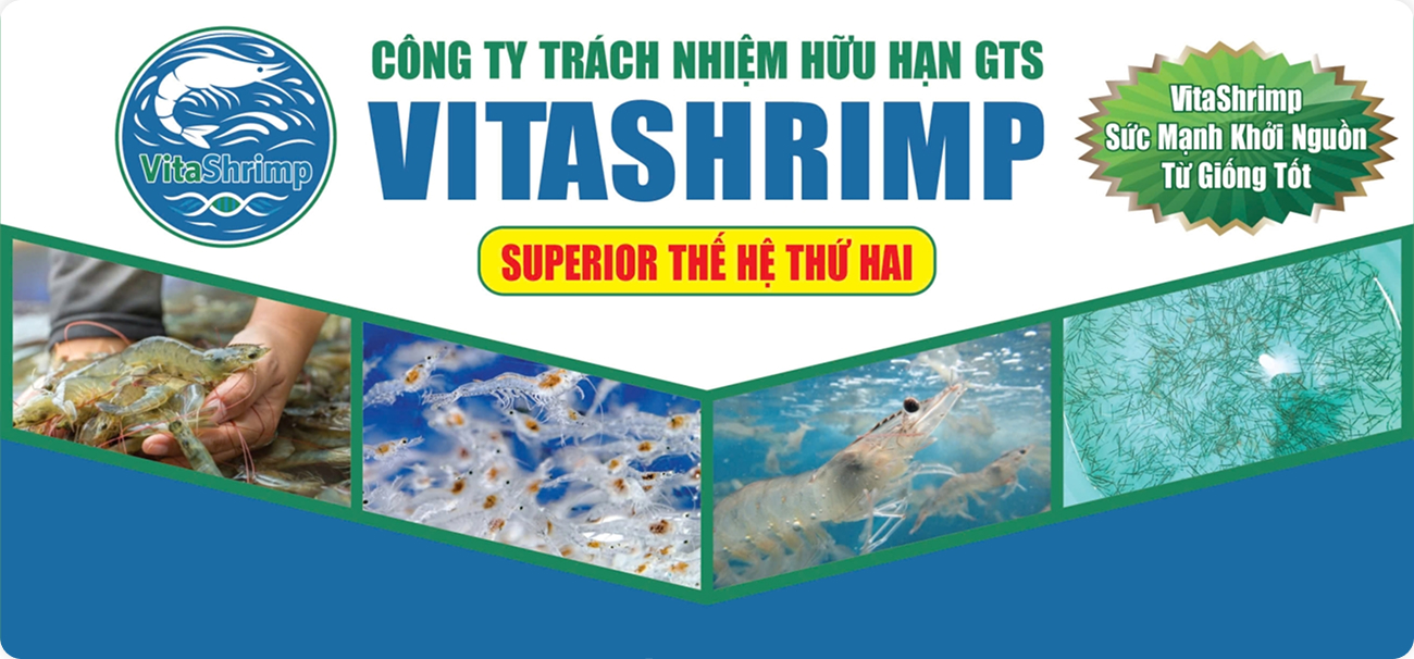 CÔNG TY TNHH GTS VITASHRIMP