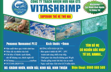 CÔNG TY TNHH GTS VITASHRIMP